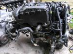 Двигатель контрактный  Citroen Berlingo  1.6 HDi 75 ,модель  DV6B,9HW (DV6ETED) б.у